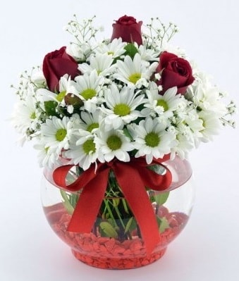Fanusta 3 Gül ve Papatya  Antalya Asya internetten çiçek satışı 