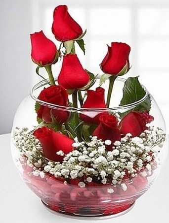 Kırmızı Mutluluk fanusta 9 kırmızı gül  Antalya Asya çiçek siparişi sitesi 