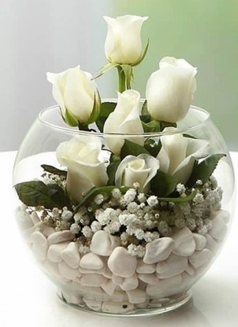 Beyaz Mutluluk 9 beyaz gül fanusta  Antalya Asya çiçek siparişi sitesi 
