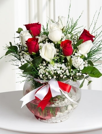 Aşk Küresi  5 beyaz 5 kırmızı gül fanusta  Antalya Asya internetten çiçek satışı 