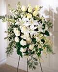  Antalya Asya online çiçek gönderme sipariş  Kazablanka gül ve karanfil ferforje