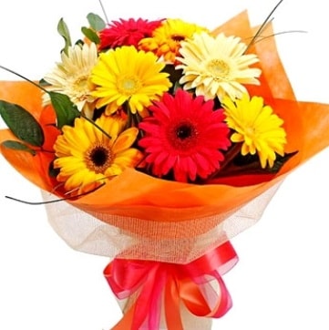 9 adet karışık gerbera buketi  Antalya Asya çiçek , çiçekçi , çiçekçilik 