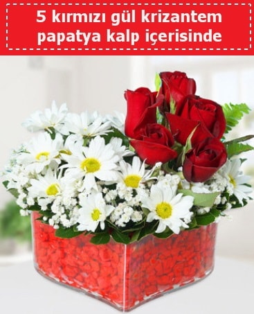 mika kalp içerisinde 5 kırmızı gül papatya  Antalya Asya çiçek gönderme 