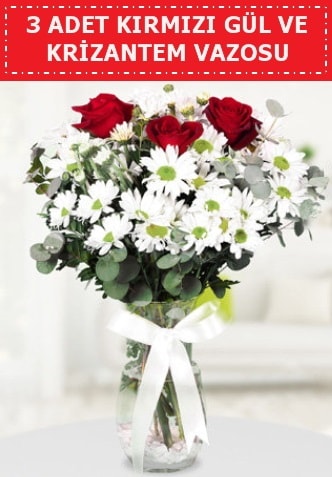 3 kırmızı gül ve camda krizantem çiçekleri  Antalya Asya çiçek gönderme 