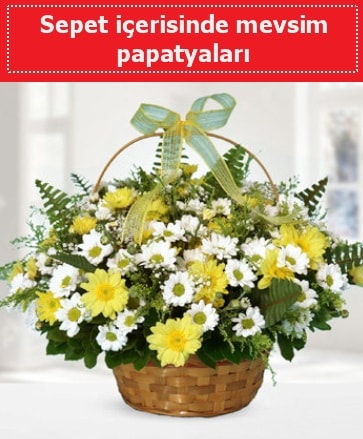 Sepet içerisinde mevsim papatyaları  Antalya Asya ucuz çiçek gönder 