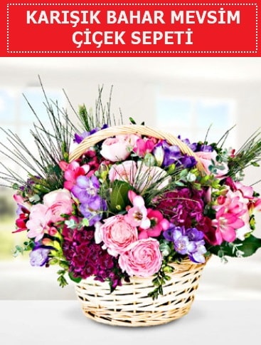 Karışık mevsim bahar çiçekleri  Antalya Asya ucuz çiçek gönder 